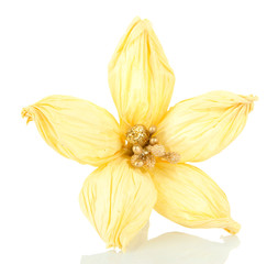 Decorative flower of straw, isolated on white