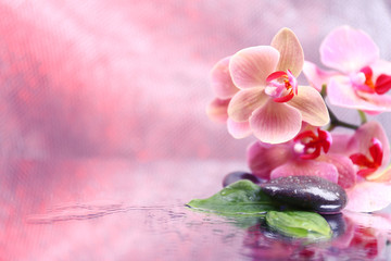 Obraz na płótnie Canvas Composition with beautiful blooming orchid with water drops and