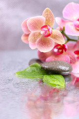 Fototapeta na wymiar Composition with beautiful blooming orchid with water drops and