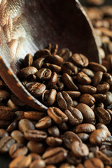 Coffee beans on a wooden spoon