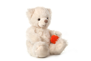 Fluffy teddy bear isolated on white