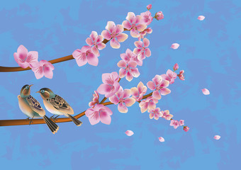 love birds, sakura, spring, Valentine's Day.