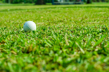 Golf ball on green grass with blur background