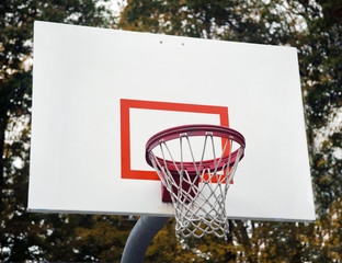 Basketball hoop with autumn leaves in background