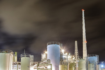 Petrochemical plant