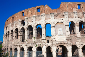 Fototapeta premium Colosseum in Rome