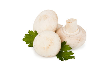 field mushroom and parsley