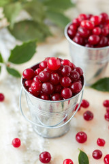 Fresh cranberry in metal pails