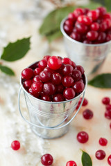 Fresh cranberry in metal pails