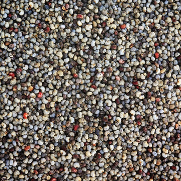 Poppy seeds