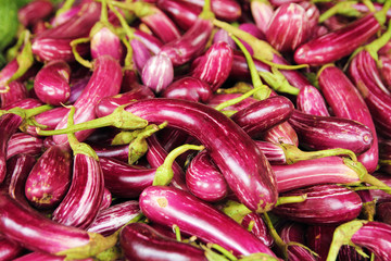 fresh aubergines closeup