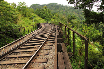 Fototapeta na wymiar rail bridge in forest