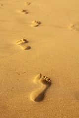 footprints in sand