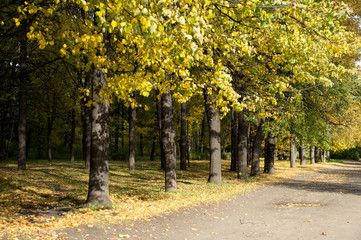 Park in the fall