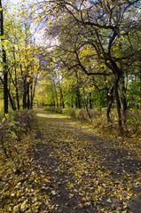 Park in the fall