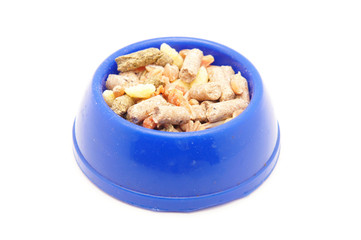 blue bowl of food on white background