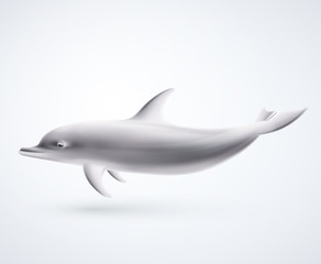 Isolated dolphin