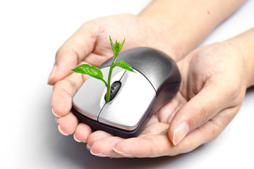 hands holding a tree growing on a mouse