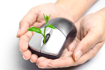 hands holding a mouse with a tree growing on it