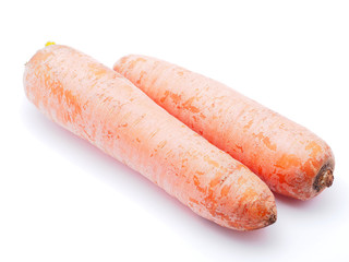 carrot on a white background