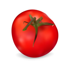 Realistic red Tomato. Vector illustration. Isolated on white bac