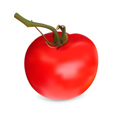 Realistic red Tomato. Vector illustration. Isolated on white bac