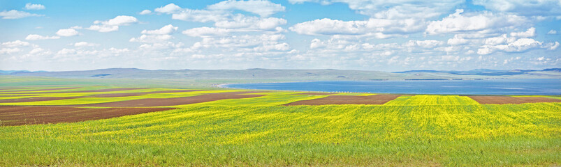 beautiful landscape near lake