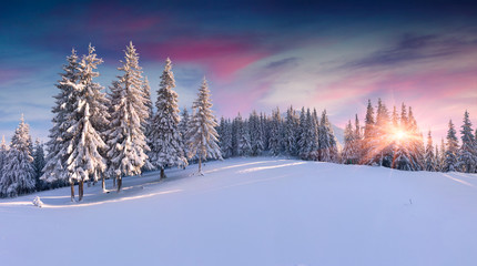 Panorama of the winter sunrise in the mountains - obrazy, fototapety, plakaty
