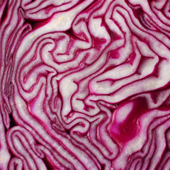 Red cabbage texture