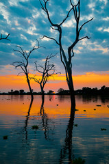 Fototapeta na wymiar Wschód słońca nad jeziorem Manze - rezerwat, park narodowy Selous Game