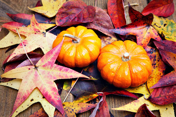 Halloween pumkin on colorful autumn leaves