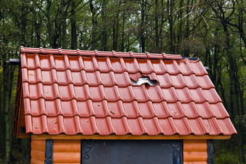 Barbarism: a hole in a new roof