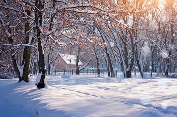 Hut in winter forest in a frosty sunny day