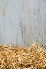 hay against a blue wooden wall