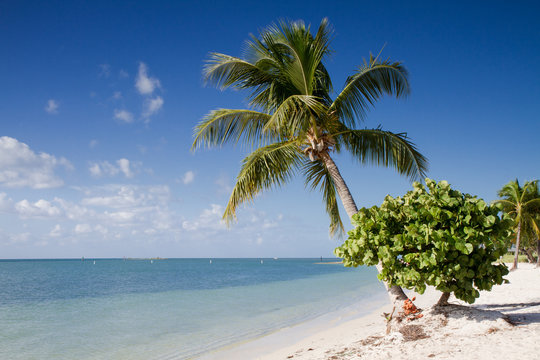Sombrero Beach On The Florida Keys
