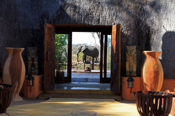 Elefanten in Camp