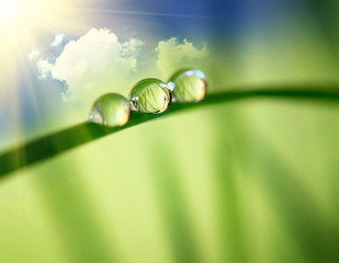 morning nature background with beautiful drop