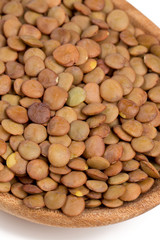 brown lentils in a wooden scoop