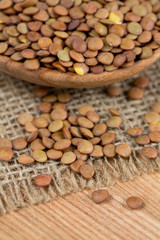brown lentils in a wooden spoon