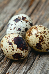 Obraz premium quail eggs