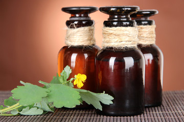 Blooming Celandine with medicine bottles