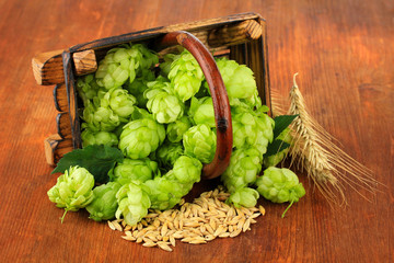 Fresh green hops in basket and barley, on wooden background