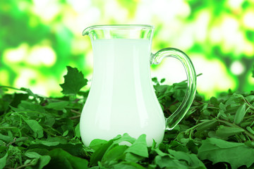 Pitcher of milk on grass on nature background