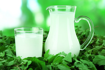 Pitcher and glass of milk on grass on nature background