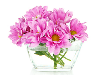 Beautiful flowers in bowl isolated on white