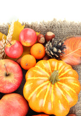 Beautiful autumn composition, isolated on white