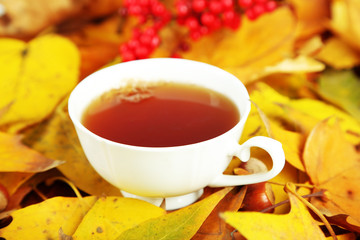 Cup of hot beverage, on yellow leaves background