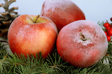 Red apples with fir branch close up