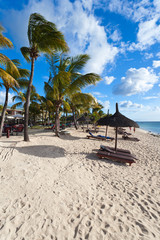 plage de l'île Maurice sous les cocotiers