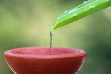 Falling aloe vera extract on a brown bowl